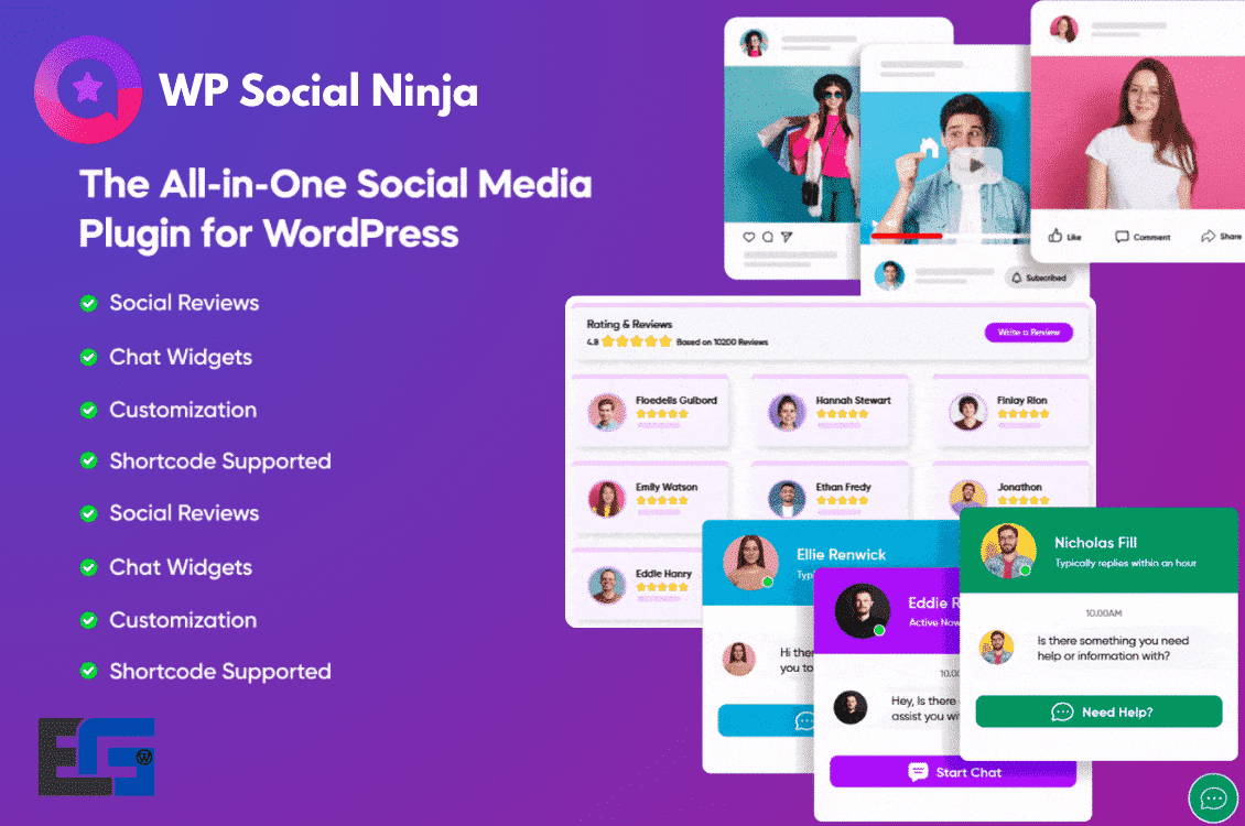 WP Social Ninja Pro Image 2
